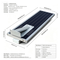 Lámpara Solar LED para Calle Chino WS-30W de 30W, DC, IP65 Impermeable, de Aluminio, con Sensor de Movimiento, Control por Aplicación/Remoto, para Carreteras, con Batería