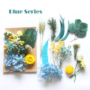 <span class=keywords><strong>Kit</strong></span> de fleurs séchées naturelles pressées, mélange de feuilles d'eucalyptus pour la création de bijoux en résine, le nail art, la fabrication de bougies, la décoration bohème de la maison - Product Image 4