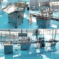 Ligne de remplissage et de bouchage entièrement automatique pour bouteilles d'huile, de liquide de refroidissement et de liquides corrosifs