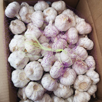 Importateurs d'ail en vrac chinois à Dubaï de qualité alimentaire avec 10kg 20kg d'ail