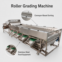 Datumsorteermachine voor hygiënische voedselverwerking, modulaire transportbandopstelling en commerciële verpakkingsapplicaties