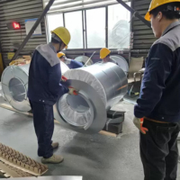 Verzinkte Spule/Wellblechplatten/Vorlackierte Verzinkte Stahlspule/Stahl/Stahlspule/Stahlblech/Dachblech/PPGI/PPGL/GI