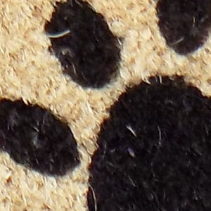 HMS 18 \ "X 30 \" Coir Woof esterno schema di colori marrone e nero - Product Image 3