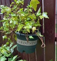 Panier de jardinage en plastique pour pots de fleurs suspendus avec crochets de suspension et trous de drainage pour plantes et fleurs d'intérieur/extérieur