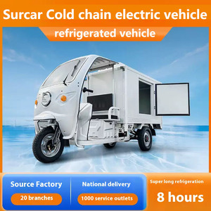<span class=keywords><strong>Bici</strong></span> Cargo elettrica <span class=keywords><strong>a</strong></span> <span class=keywords><strong>tre</strong></span> <span class=keywords><strong>ruote</strong></span> con cabina congelata sistema di raffreddamento per la consegna del ghiaccio tutto in un triciclo più fresco - Product Image 4