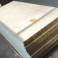 Panneau sandwich en laine de roche avec jointement latéral en PU structurel pour l'isolation des murs des hangars d'aéroports et des grandes installations industrielles