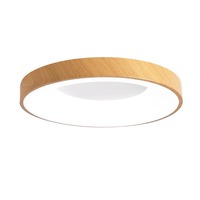 Plafonnier LED moderne en métal pour chambre principale avec commande vocale, éclairage de pièce ultra-fin