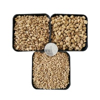 Pierre Maifan absorbante 3-4mm amélioration du sol de qualité alimentaire pierre Maifan boule en céramique bio à vendre