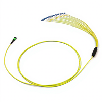 Kabel Serat Optik Trunk MPO Patch Cord 12 24 Core MTP Harga Pabrik Hongsheng, Mendukung Panjang Kustom OEM ODM