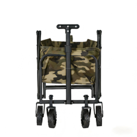 Chariot pliable en acier inoxydable pour enfants avec poignée télescopique pour jardin, plage, camping, poussette jouet