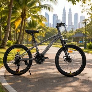<span class=keywords><strong>Bicicleta</strong></span> de Montaña para Niños de 21 Velocidades, 20 Pulgadas, Frenos de Disco, Suspensión Delantera, 5 Colores, Pedido de Muestra de Fábrica OEM - Product Image 2