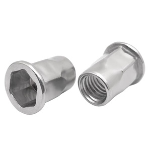 M4 M5 M10 Siêu Duplex Thép Không Gỉ SS 2205 2507 A286 904L 1.4410 Bán Hex Hexagon Chìm Vòng Đầu Đinh Tán Nut - Product Image 1