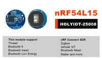 Module de bouton de panique Bluetooth Holyiot NRF54L15, capteur d'accélération, balise iBeacon, balise Eddystone pour la navigation
