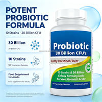 Capsules de probiotiques haute puissance, multi-souches, avec prébiotiques, pour soutenir la santé intestinale, la digestion et le bien-être immunitaire