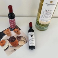 Ouvre-bouteille magnétique créatif personnalisé en plastique et acier inoxydable en forme de bouteille, ouvre-bouteille magnétique pour réfrigérateur