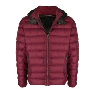 Blouson d'hiver chaud et ajusté à capuche matelassé, en soie, personnalisé, décontracté, pour homme, style urbain - Product Image 1