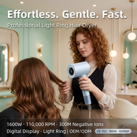 Ensemble de brosses sèche-cheveux professionnelles de voyage avec buse lissante, moteur ionique DC 1600W, sèche-cheveux haute vitesse