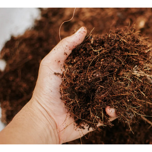 Mousse de tourbe équilibrée et écologique pour l'amélioration du sol, le contrôle de l'eau, un soutien constant à la croissance des plantes et l'agriculture - Product Image 4