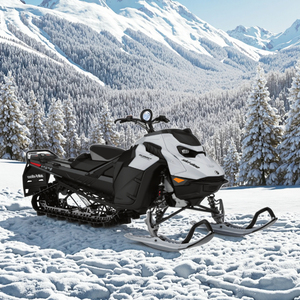 รถสโนว์โมบิล 2026 DianFeng 850cc 2 จังหวะ - สำหรับผู้ใหญ่และกีฬาทางน้ำแข็ง - Product Image 3