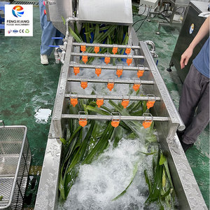 Ligne de traitement commerciale pour feuilles de pandan, herbe de blé et pousses de haricot, machine de lavage et de découpe du blé - Product Image 5