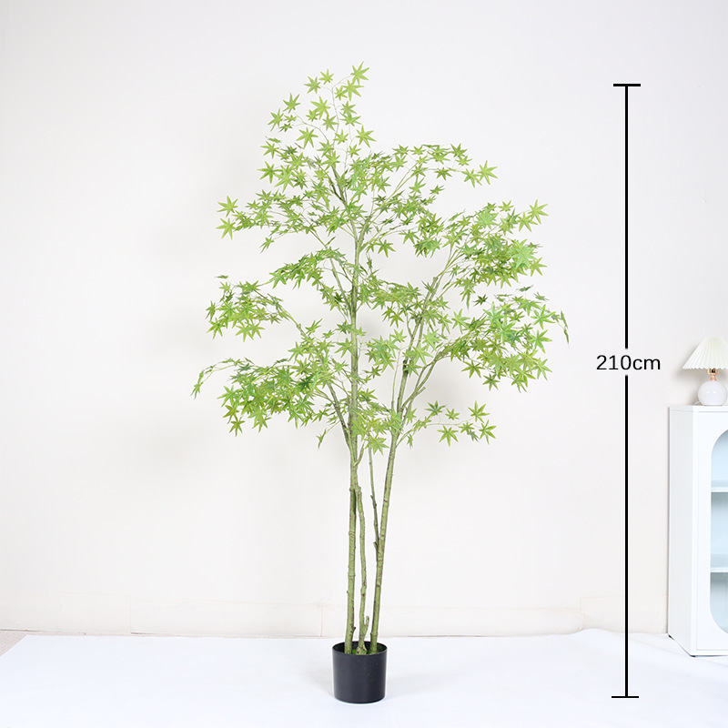 210cm