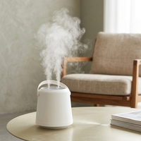 Humidificateur d'air frais pour chambre et bureau, lampe lune aromathérapie LED, petit humidificateur portable USB décoratif à main