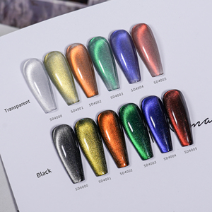 Nouvel arrivage de pigment œil de chat magnétique arc-en-ciel effet miroir Nail Art World 3d poudre de pigment pour ongles de beauté - Product Image 5