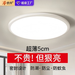 Modern Minimalist Ceiling <b>Light</b> 12W 18W LED Round Balcony Hallway <b>Light</b> Hardwired <b>Switch</b> Control 10 Year Warranty - Product Image 5