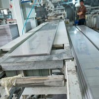 Film PVC 250*8*2900MM à effet bois avec lignes argentées, panneaux PVC pour intérieur, dalles de plafond PVC