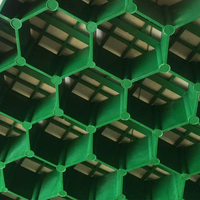 Nouvelle grille de pavage en plastique HDPE noir et vert pour allées et parkings, 500x500x48mm