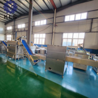 Kls Elektrische Uienschilmachine 500Kg Wortelsnijden Uienschiller Automatische Groenteverwerkingsfabriek