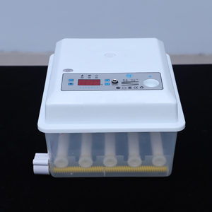 Incubateur Intelligent Mini Ménager Hautement Automatique 9/12/16 Œufs pour l'Incubation <span class=keywords><strong>d</strong></span>'Œufs <span class=keywords><strong>d</strong></span>'<span class=keywords><strong>Oiseaux</strong></span> - Product Image 1