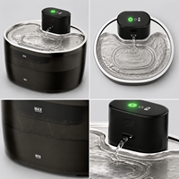 Fontaine à eau rechargeable pour animaux de compagnie 3,2 L, distributeur d'eau sans fil pour chat, commande tactile, acier inoxydable, fontaine à eau silencieuse