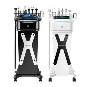 Nouveau produit multifonction 10 en 1 Machine faciale ultrasons visage marteau froid RF lifting du visage machine de rajeunissement de la peau