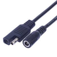 Câble d'extension d'alimentation en gros personnalisé 20AWG SAE 2 broches vers prise DC 5521 5,5 mm x 2,1 mm femelle