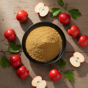 Groothandel Meidoornvrucht <span class=keywords><strong>Extract</strong></span> Meidoornbes <span class=keywords><strong>Extract</strong></span> Poeder 10:1 Meidoornvrucht <span class=keywords><strong>Extract</strong></span> - Product Image 2
