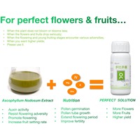 Extrait d'algues d'engrais foliaire liquide de bore soluble dans l'eau d'azote organique à haute efficacité pour la floraison et la fructification des cultures