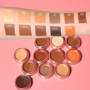 Venta caliente 11 colores Cosméticos de larga duración <span class=keywords><strong>Corrector</strong></span> de ojos Paletas de crema <span class=keywords><strong>Maquillaje</strong></span> Etiqueta privada Cobertura completa <span class=keywords><strong>Corrector</strong></span> impermeable - Product Image 1