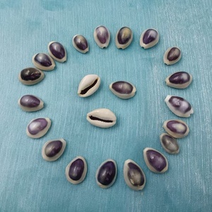 Conchas de Cauri Doradas con Ojos Púrpuras o Azules o Conchas de Caracol Manzana para Decoración del Hogar, Acuarios y Playas - Belleza Exótica - Product Image 6