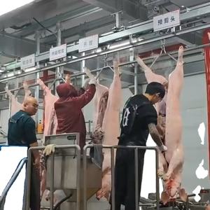 Equipo de Matanza de Cerdos de Fábrica, Línea Completa de Sacrificio de Cerdos, Maquinaria para Mataderos con Equipo de Carnicería - Product Image 2