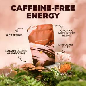 SUPERFOODS Chicorée aux champignons avec 6 champignons adaptogènes organiques <span class=keywords><strong>Café</strong></span> Keto <span class=keywords><strong>décaféiné</strong></span> avec racine de chicorée pour la digestion énergétique Focus - Product Image 3