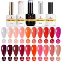 Kit de vernis à ongles magnétique blanc laiteux Neissry Apres Disco, flacons personnalisés, sans HEMA ni TPO, pour les professionnels de la beauté