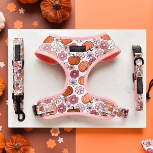 Coowone Individuelles Hochwertiges Hundegeschirr-Set aus Neopren, Personalisiertes Haustierhalsband und Leine, Haustierbedarf - Product Image 2