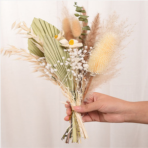 Offre Spéciale <span class=keywords><strong>vase</strong></span> en <span class=keywords><strong>verre</strong></span> naturel herbe de <span class=keywords><strong>pampa</strong></span> sèche ensemble cadeau préservée petite herbe de <span class=keywords><strong>pampa</strong></span> séchée blanche avec boîte de <span class=keywords><strong>vase</strong></span> en <span class=keywords><strong>verre</strong></span> - Product Image 4