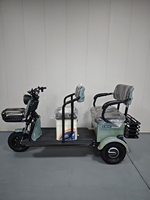 Triciclo Eléctrico Plegable de 3 Ruedas en Oferta, con Batería de Plomo-Ácido de 48V 20Ah y Motor sin Escobillas de 600W para la Familia