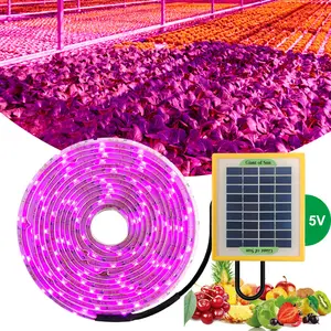פנל סולארי Led לגדול מנורת מחרוזת מלא ספקטרום 5v צמחים אור רצועת 5050 Led פיטו מנורת רצועת עבור מקורה הידרופוני גידול