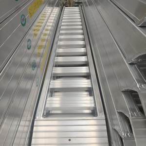 Échelles et rampes <span class=keywords><strong>de</strong></span> <span class=keywords><strong>seuil</strong></span> <span class=keywords><strong>de</strong></span> <span class=keywords><strong>chargement</strong></span> d'excavatrice en aluminium résistant rampes <span class=keywords><strong>de</strong></span> remorque <span class=keywords><strong>de</strong></span> camion d'accès facile pour la rampe <span class=keywords><strong>de</strong></span> moissonneuse - Product Image 4