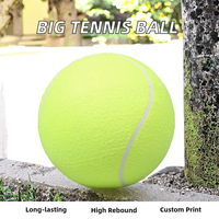 Ballon de tennis gonflable géant WELSTAR 9,5'' durable, imprimé sur mesure pour le jeu des chiens – Meilleure vente
