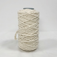 Fournisseurs de fil de serpillière en coton polyester recyclé de couleur personnalisée, best-sellers