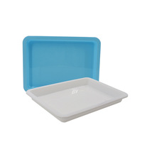 Plateaux en plastique pour activités en classe, plateaux à sable pour l'artisanat, plateaux de rangement plats de 9,6 x 7,3 pouces pour la peinture, les perles, les projets de bricolage